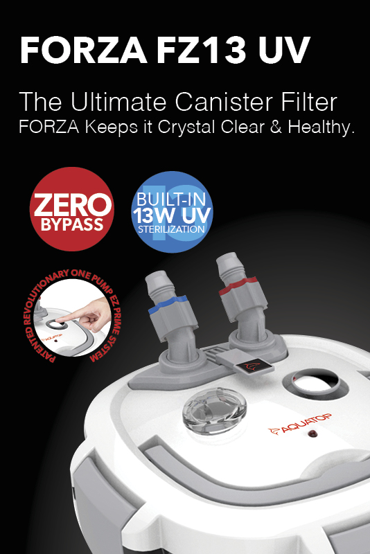 FORZA FZ13 UV The Ultimate Canister Filter